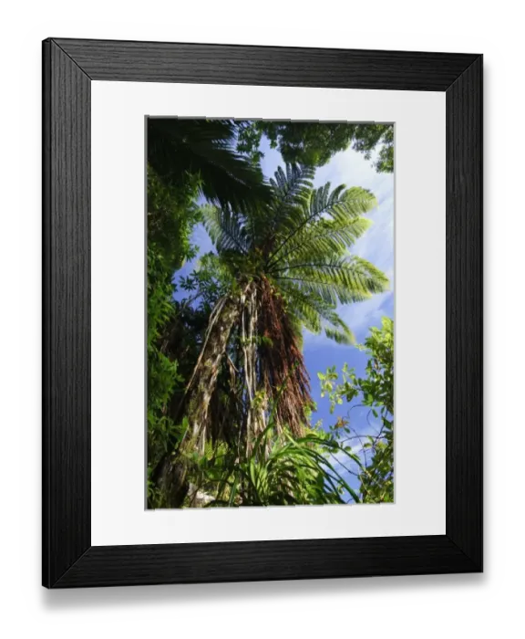 Framed Print : New Zealand Framed Print : New Zealand