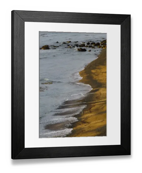Framed Print : New Zealand, South Island, Otago, Omaru, Bushy Beach Scenic Preserve. Yellow-eyed penguins Framed Print : New Zealand, South Island, Otago, Omaru, Bushy Beach Scenic Preserve. Yellow-eyed penguins