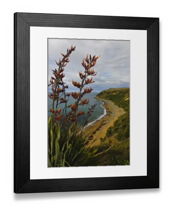 Framed Print : New Zealand, South Island, Otago, Omaru, Bushy Beach Scenic Preserve. View of Bushy Beach