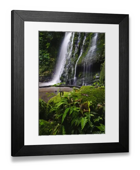Framed Print : New Zealand, Otago, Catlins. Views along Matai Falls walking track in Table Hill Scenic Reserve Framed Print : New Zealand, Otago, Catlins. Views along Matai Falls walking track in Table Hill Scenic Reserve