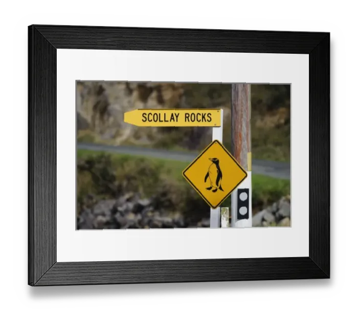Framed Print : New Zealand Framed Print : New Zealand