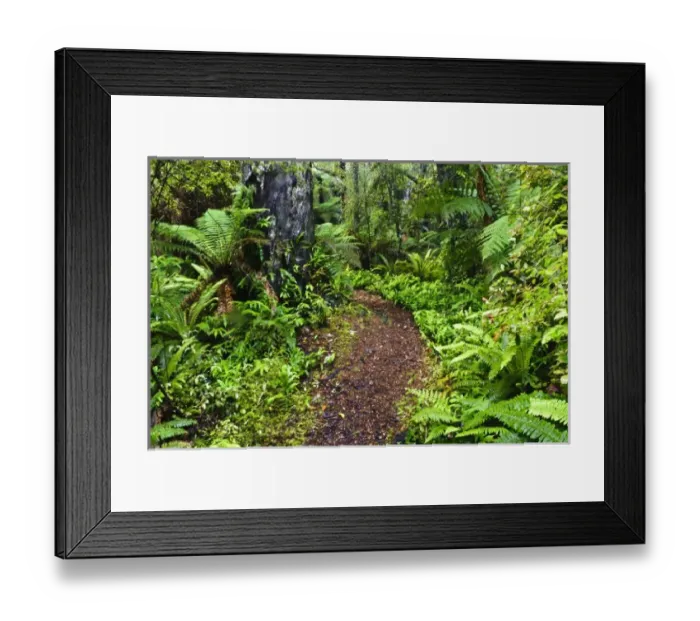 Framed Print : New Zealand