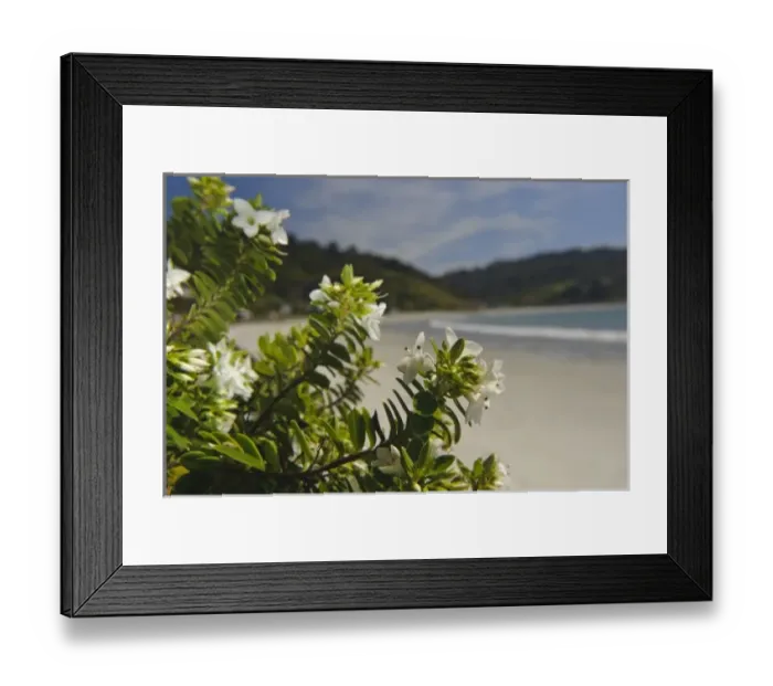 Framed Print : New Zealand Framed Print : New Zealand