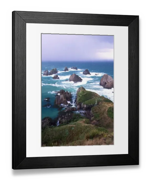 Framed Print : New Zealand, South Island, Nugget Point