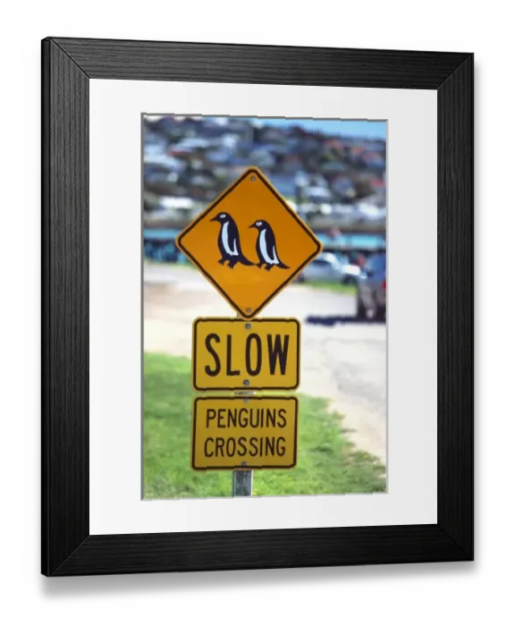 Framed Print : New Zealand Framed Print : New Zealand