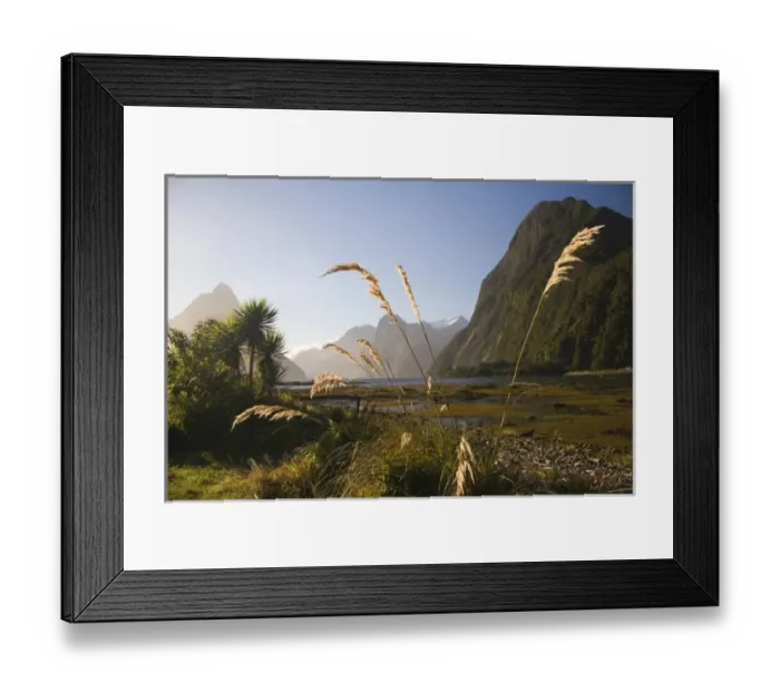 Framed Print : New Zealand Framed Print : New Zealand