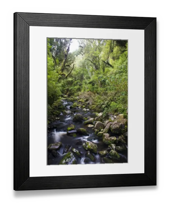 Framed Print : New Zealand Framed Print : New Zealand