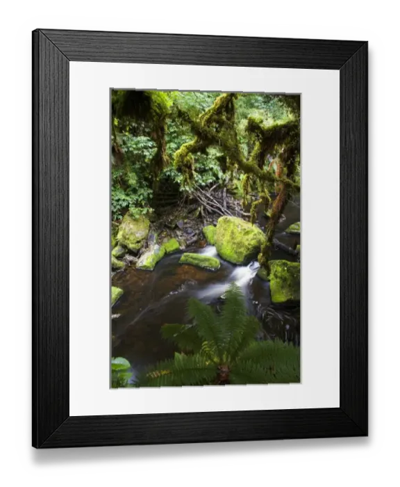 Framed Print : Unknown. Catlins, Otago, New Zealand. Along the Catlins region, waterfalls Framed Print : Unknown. Catlins, Otago, New Zealand. Along the Catlins region, waterfalls