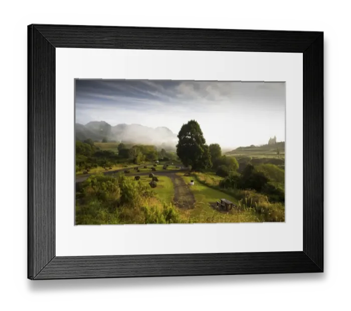 Framed Print : New Zealand Framed Print : New Zealand