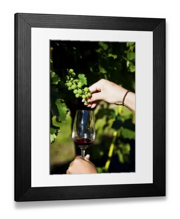 Framed Print : New Zealand Framed Print : New Zealand