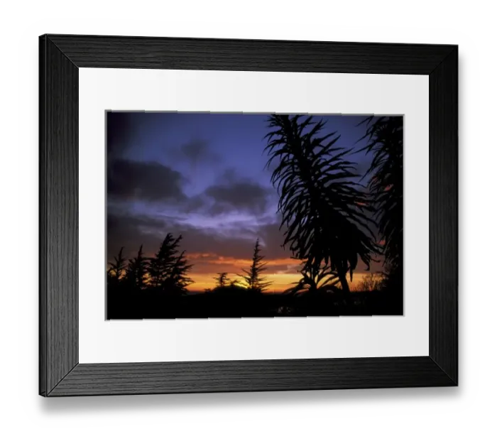 Framed Print : Dunedin, South Island, New Zealand, Trees silhouetted against a dramatic sunset Framed Print : Dunedin, South Island, New Zealand, Trees silhouetted against a dramatic sunset