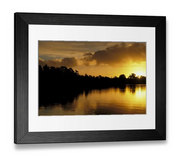 Framed Print : Martins Bay, Tasman Sea, South Island, New Zealand, Sunset over Martins Bay near the Tasman Sea Framed Print : Martins Bay, Tasman Sea, South Island, New Zealand, Sunset over Martins Bay near the Tasman Sea