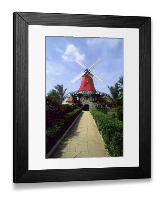 Framed Print : Caribbean, Aruba Framed Print : Caribbean, Aruba