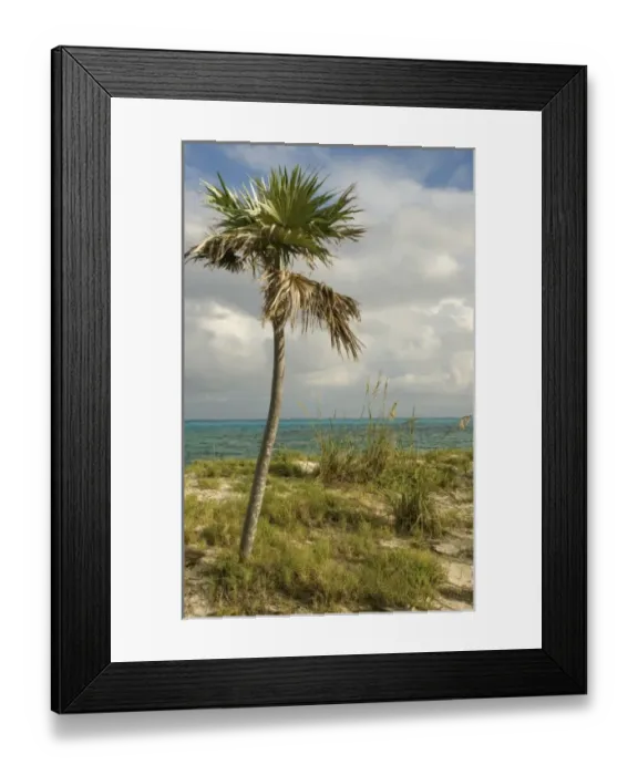 Framed Print : Caribbean, Bahamas