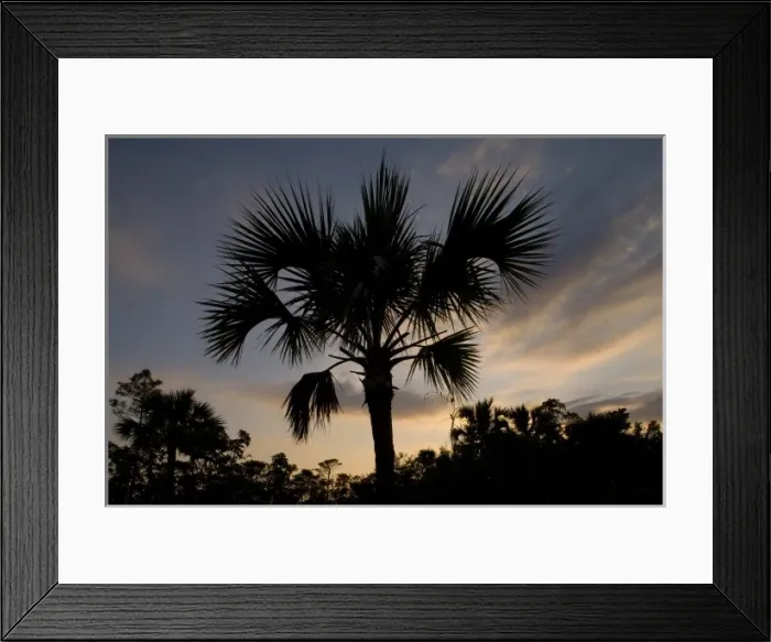 Framed Print : Caribbean, Bahamas