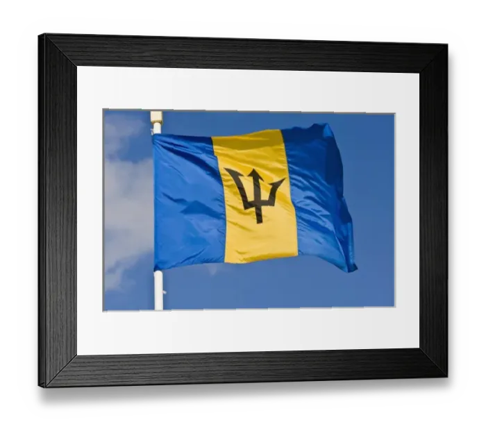 Framed Print : Barbados flag Framed Print : Barbados flag