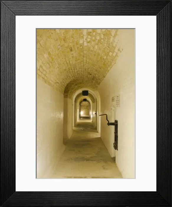 Framed Print : Bermuda. Exhibits inside Fort St. Catherine