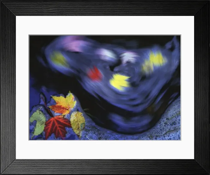 Framed Print : Canada, Quebec. Autumn leaves swirl on small creek Framed Print : Canada, Quebec. Autumn leaves swirl on small creek