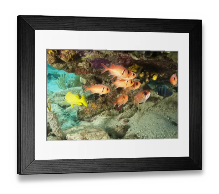 Framed Print : Caribbean, Brittish Virgin Islands