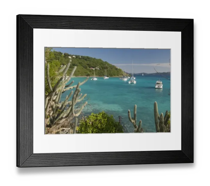 Framed Print : UK, BVI, Jost van Dyke, White Bay. Popular moorings for bareboaters and charter sail