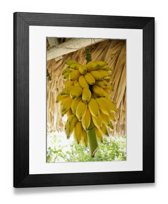 Framed Print : Caribbean, Cuba Framed Print : Caribbean, Cuba
