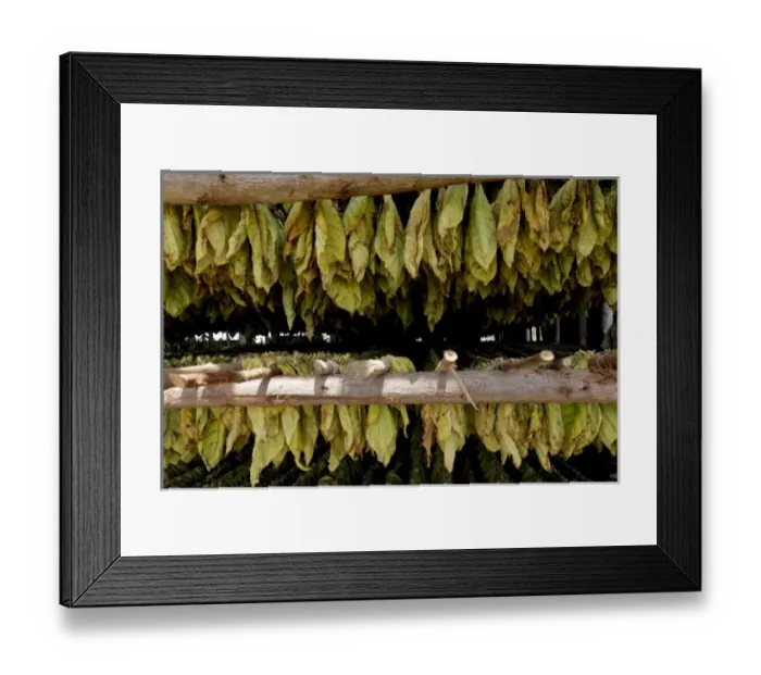 Framed Print : Caribbean, Cuba Framed Print : Caribbean, Cuba