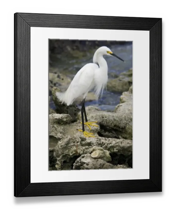 Framed Print : Dominican Republic, Bayahibe, Viva Wyndham Dominicus Beach