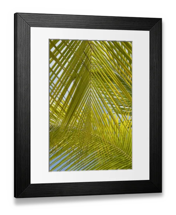 Framed Print : Caribbean, Dominican Republic Framed Print : Caribbean, Dominican Republic