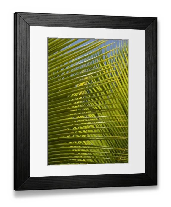 Framed Print : Caribbean, Dominican Republic Framed Print : Caribbean, Dominican Republic