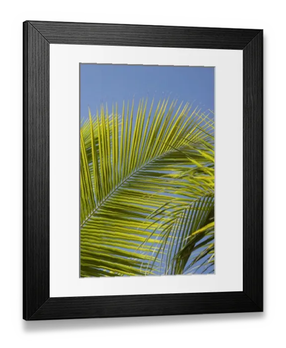 Framed Print : Dominican Republic, Bayahibe, Viva Wyndham Dominicus Beach Framed Print : Dominican Republic, Bayahibe, Viva Wyndham Dominicus Beach