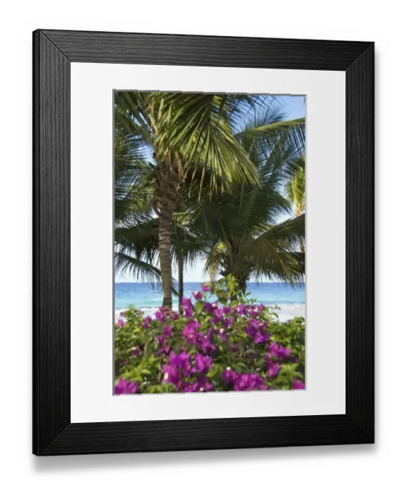 Framed Print : Caribbean, Dominican Republic