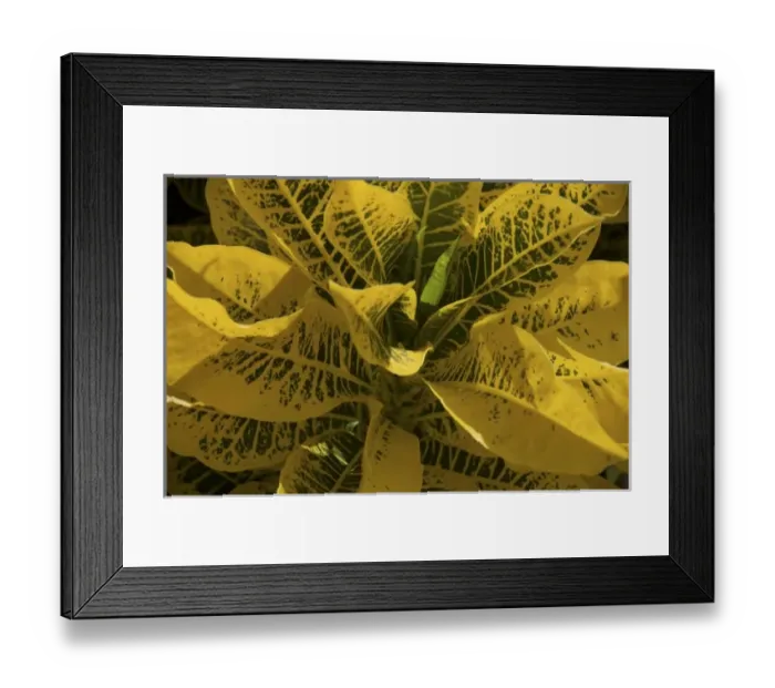 Framed Print : Caribbean, Dominican Republic Framed Print : Caribbean, Dominican Republic