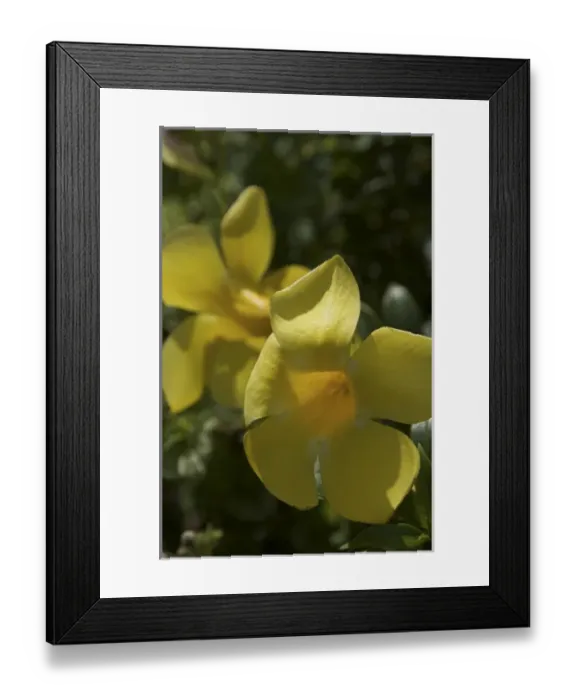 Framed Print : Caribbean, Dominican Republic