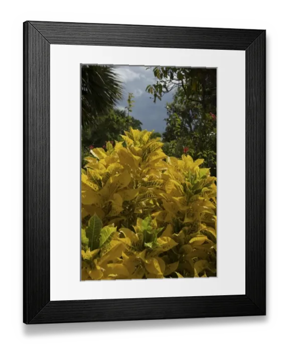 Framed Print : Caribbean, Dominican Republic