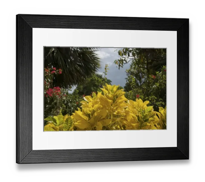 Framed Print : Caribbean, Dominican Republic