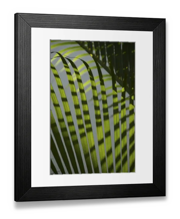 Framed Print : Caribbean, Dominican Republic Framed Print : Caribbean, Dominican Republic