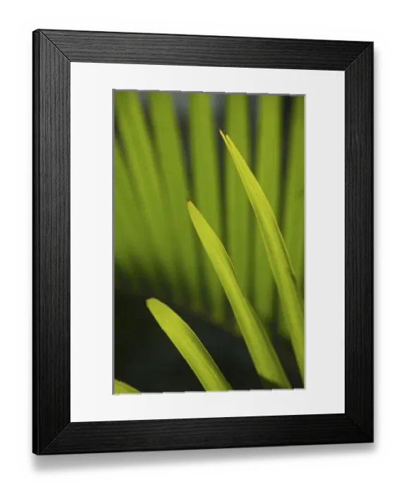 Framed Print : Caribbean, Dominican Republic