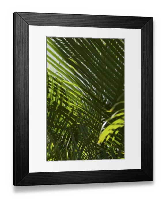Framed Print : Caribbean, Dominican Republic