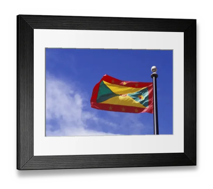 Framed Print : National Flag of Grenada Framed Print : National Flag of Grenada