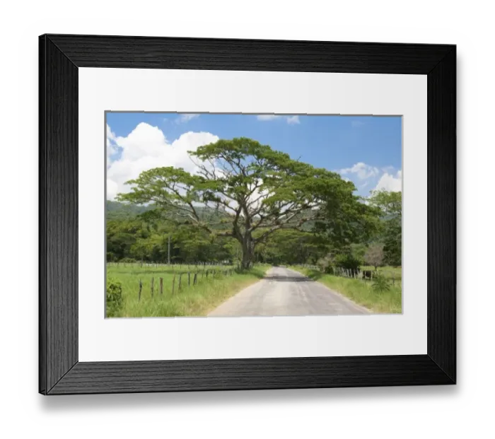Framed Print : Caribbean, Jamaica Framed Print : Caribbean, Jamaica