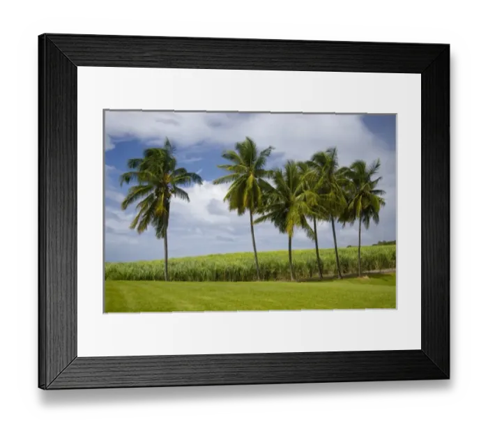 Framed Print : Caribbean, Martinique