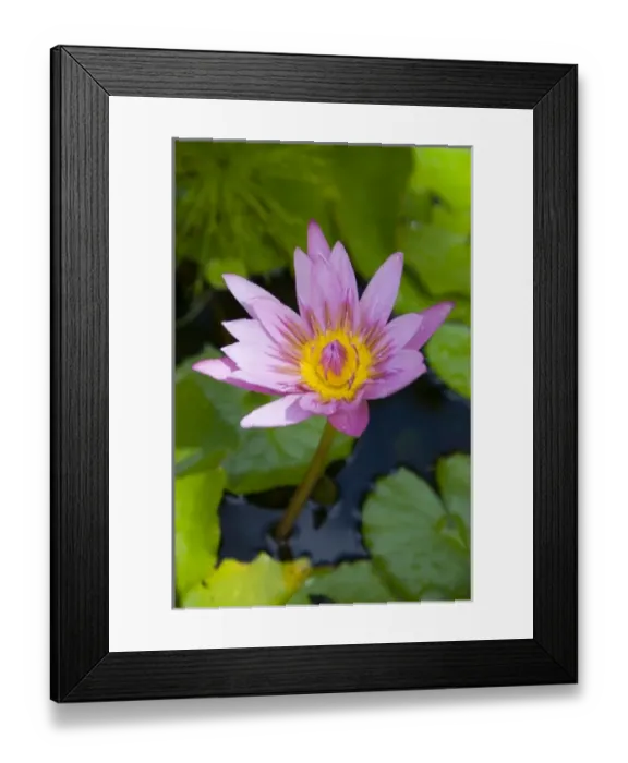 Framed Print : Caribbean, Martinique Framed Print : Caribbean, Martinique