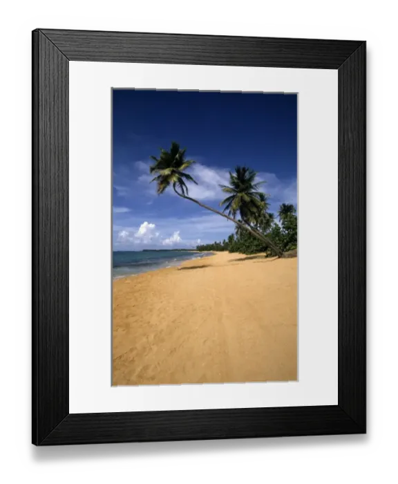 Framed Print : Beach Puerto Rico Framed Print : Beach Puerto Rico