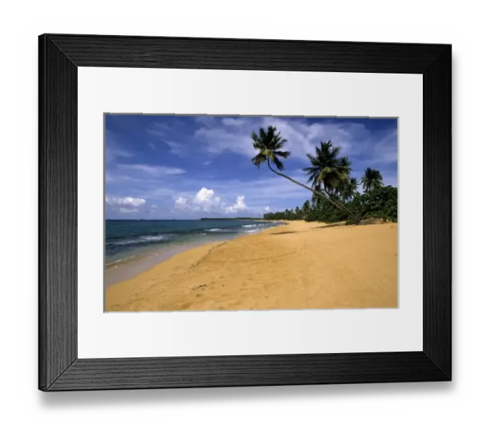 Framed Print : Beach Puerto Rico Framed Print : Beach Puerto Rico