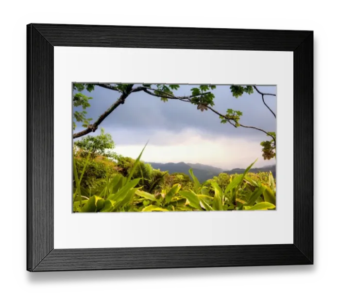 Framed Print : Caribbean, Puerto Rico Framed Print : Caribbean, Puerto Rico