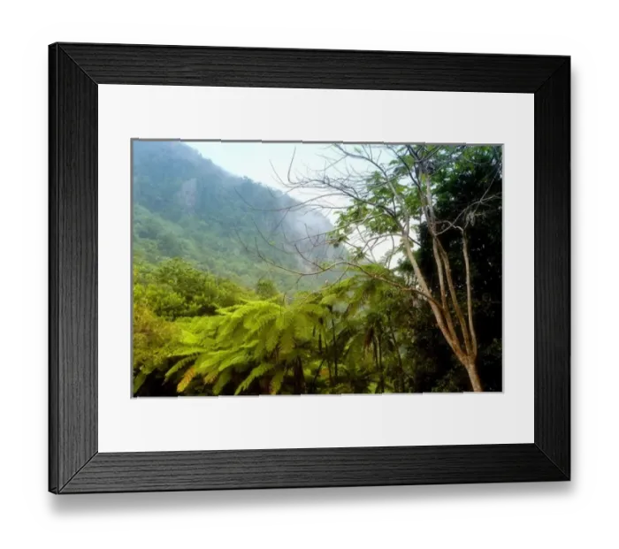Framed Print : Caribbean, Puerto Rico