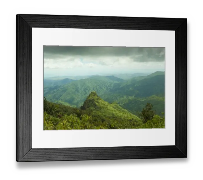 Framed Print : Viewing Los Picachos peak from the El Yunque peak overlook, El Yunque NF, Puerto Rico Framed Print : Viewing Los Picachos peak from the El Yunque peak overlook, El Yunque NF, Puerto Rico