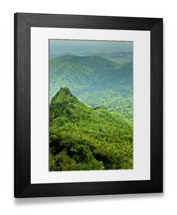 Framed Print : Viewing Los Picachos peak from the El Yunque peak overlook, El Yunque NF, Puerto Rico Framed Print : Viewing Los Picachos peak from the El Yunque peak overlook, El Yunque NF, Puerto Rico