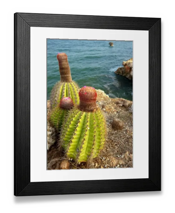 Framed Print : Caribbean, Puerto Rico Framed Print : Caribbean, Puerto Rico