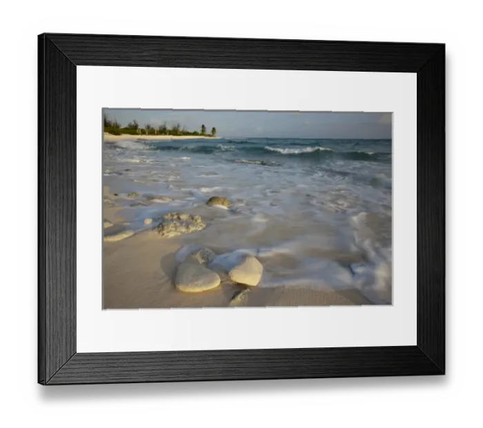 Framed Print : Waves crashing on crushed coral and coral fossils on the beaches of Punta Arena, Mona Island